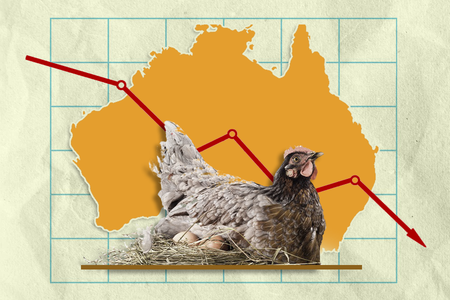 Australia's Current Egg Shortage Another NonTraditional Security